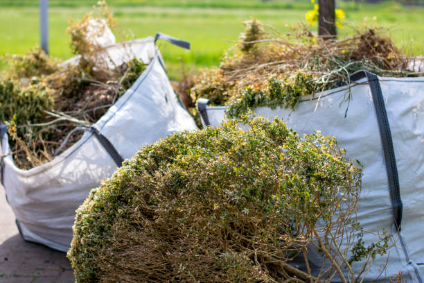 Best Dumpster Rental Services  in Gridley, CA